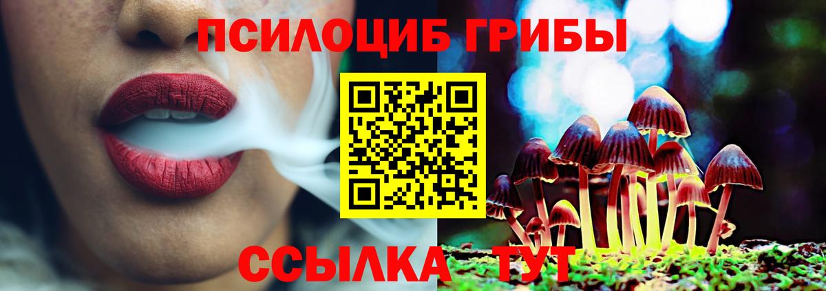 Псилоцибиновые грибы Psilocybe Кропоткин